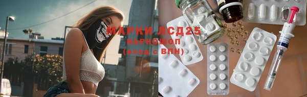 крисы Аркадак