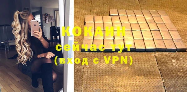 шишки Арсеньев