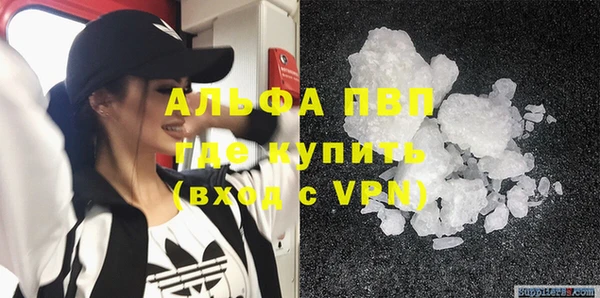 шишки Арсеньев