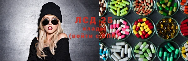 крисы Аркадак