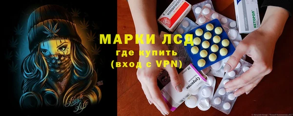 шишки Арсеньев