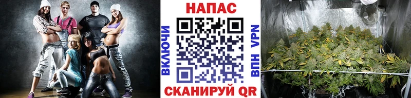 Канабис конопля  Холмск 